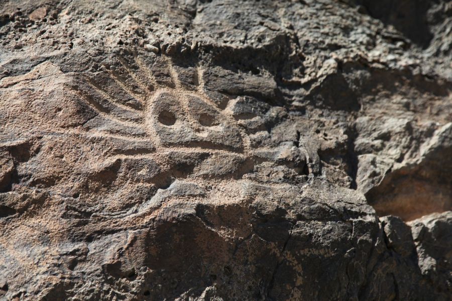 ancient petroglyphs