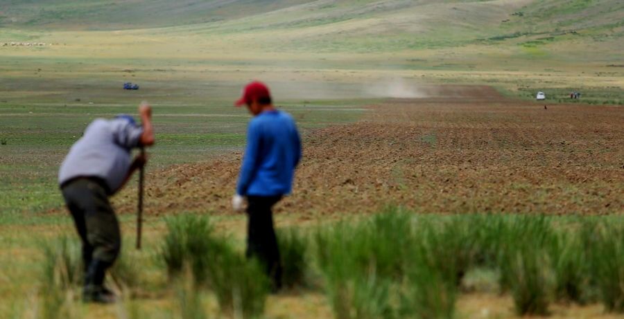 Employment creation in agriculture sector to be supported through new project - Vimarsana News