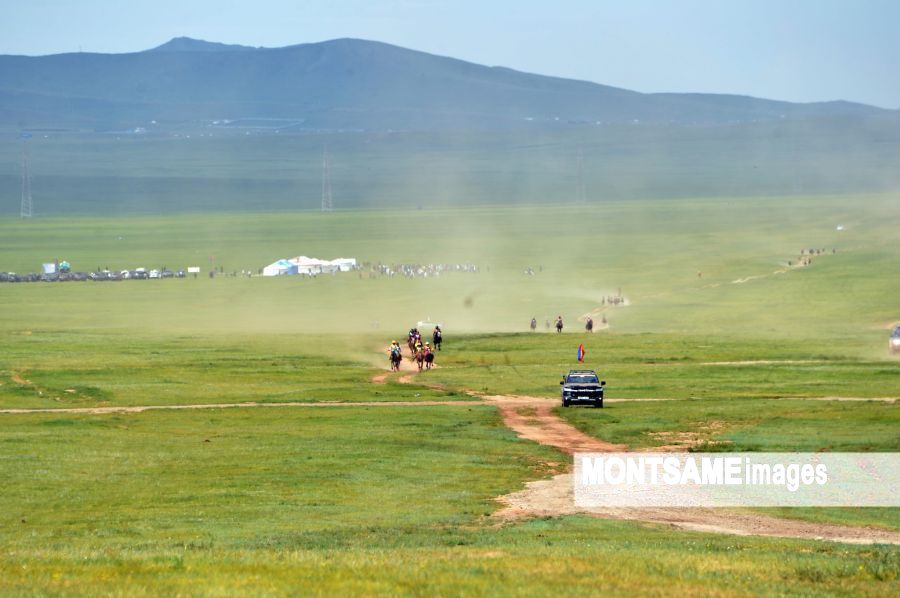 調教師ナーダムで選別的な計214頭が競馬