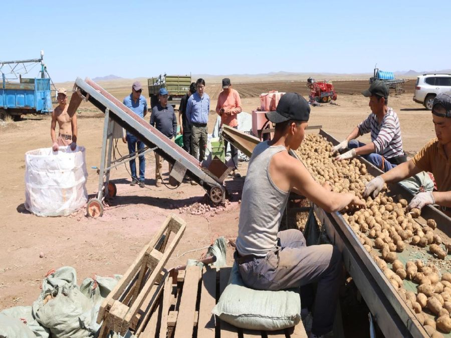 Farmers Compensating Human Resource Deficit through Technology