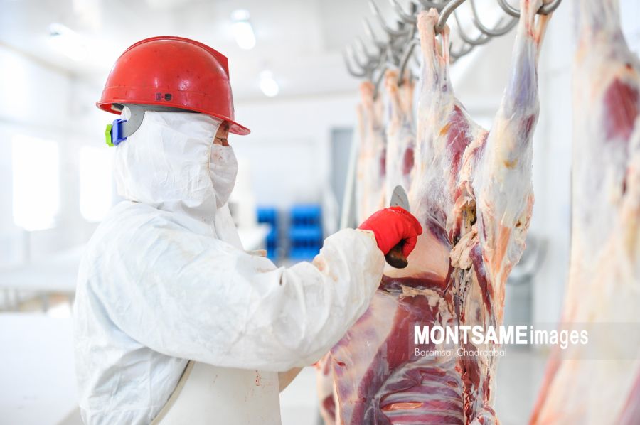 Enterprises Have Reserves to Export 162,000 Tonnes of Meat