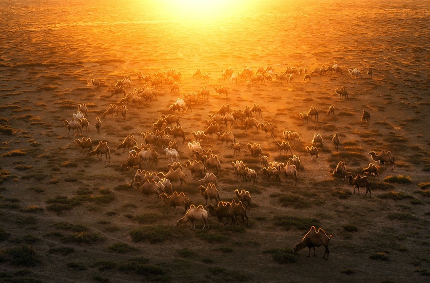 Mongolian Landscape Photography 2025 Winners