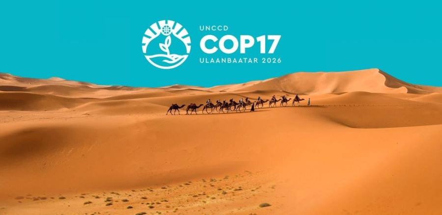 Information on COP17 Conference Available Online
