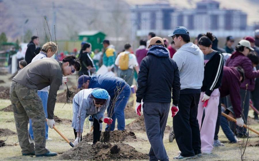National Tree Campaign to Plant 10,000 Trees