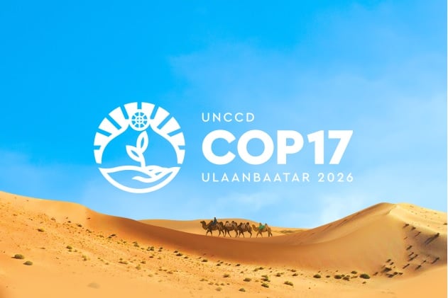 Consultative Meetings to Increase Local Participation in COP17
