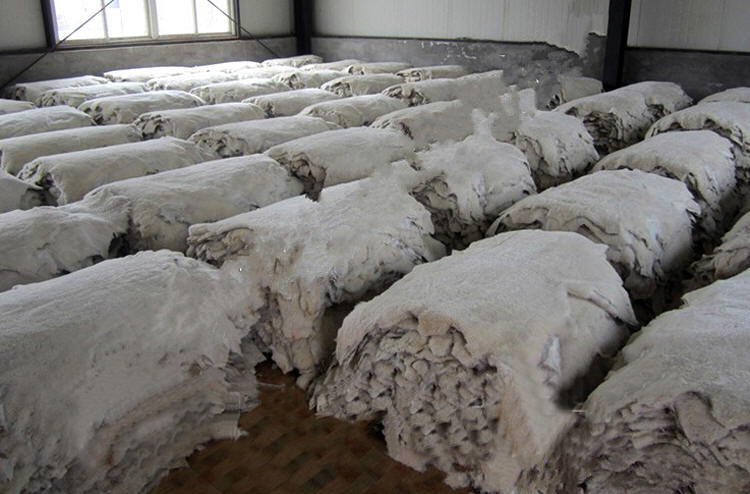 Five Banks to Issue MNT 85 Billion in Loans Under 'White Gold' Movement