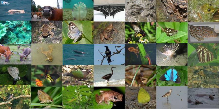 Government Approves National Biodiversity Strategy for 2026–2030