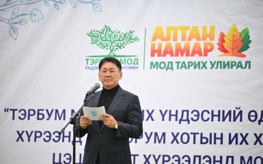 뉴스 사진