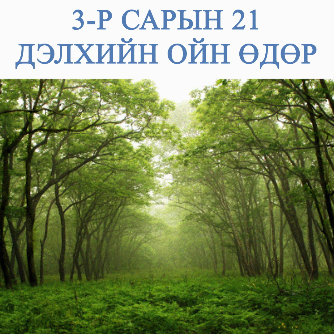 3-р сарын 21 дэлхийн ойн өдөр